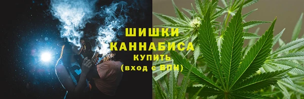 ГАЛЛЮЦИНОГЕННЫЕ ГРИБЫ Беломорск