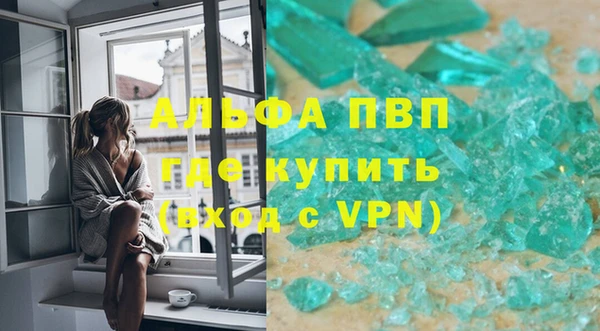 стаф Белокуриха
