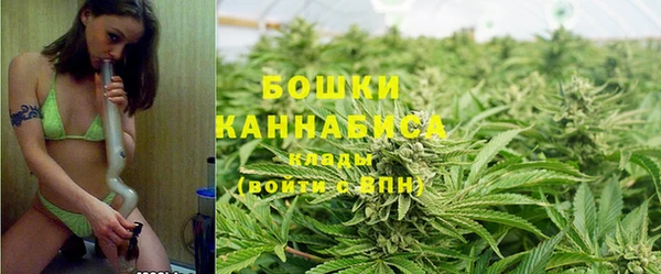 ГАЛЛЮЦИНОГЕННЫЕ ГРИБЫ Беломорск