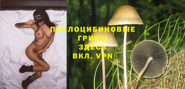 стаф Белокуриха