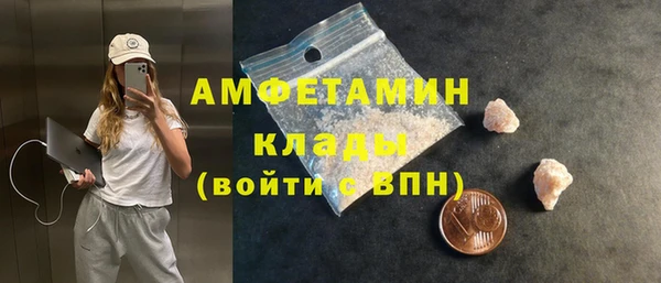 стаф Белокуриха